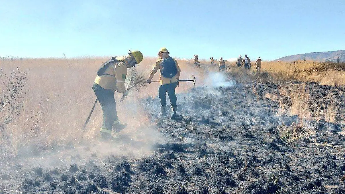 Brigadistas combaten incendio en Valle de los Molinos en Zapopan